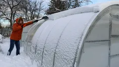 How to Remove Snow from a Greenhouse Without Damage: An Easy Method Instead of Using a Shovel