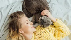 Why Your Cat Sleeps on Your Pillow: Zoologists Name Five Heartwarming Reasons
