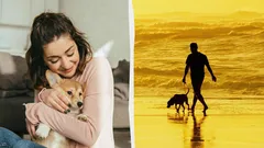 Dogs Aren’t the Only Best Friends of Humans: Who Else Understands People Without Words?