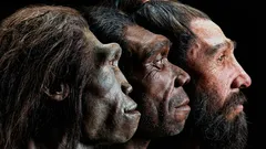 Why Humans Lost Body Hair During Evolution - and What They Gained Instead