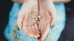 Your Own Psychologist: How to Determine a Person’s Personality Type by the Shape of Their Palms